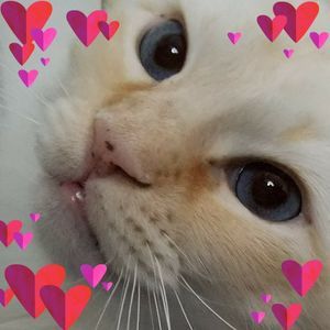 Meet your Posher, Dawna